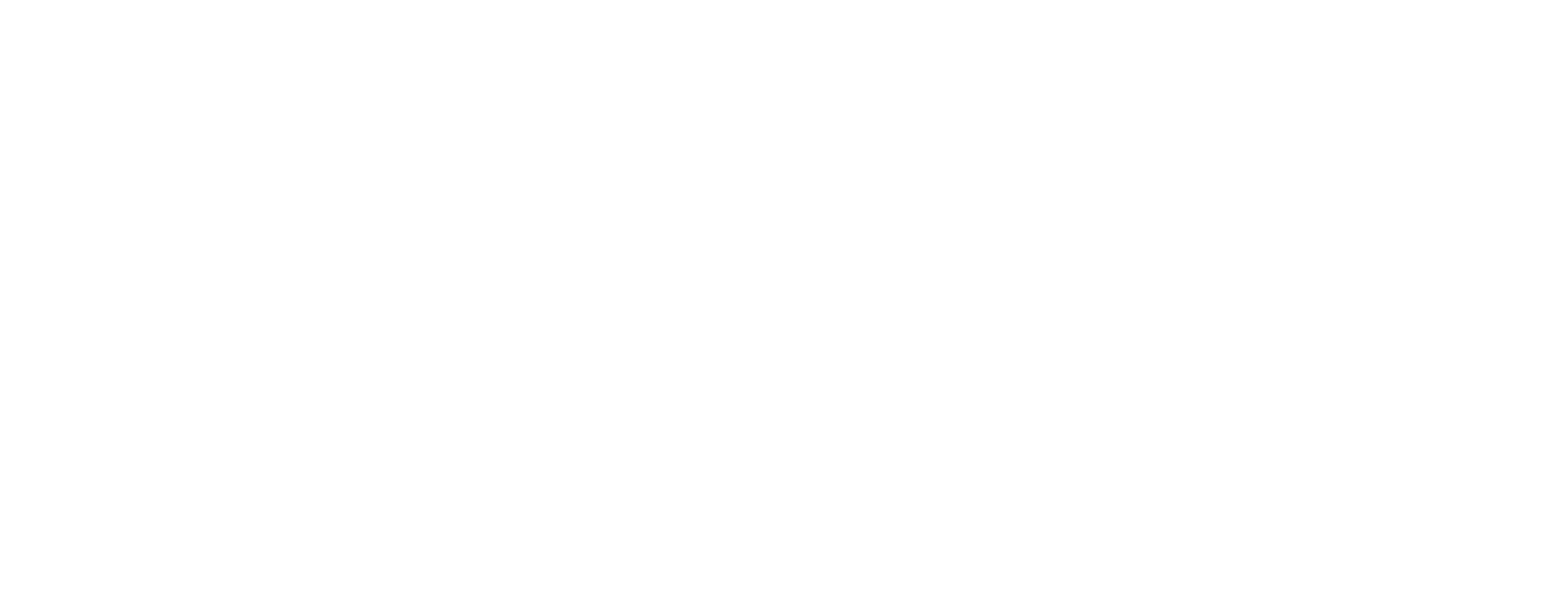 Racoon AI Logo